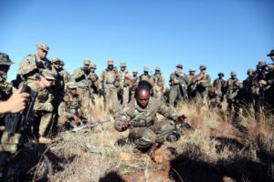 SANDF