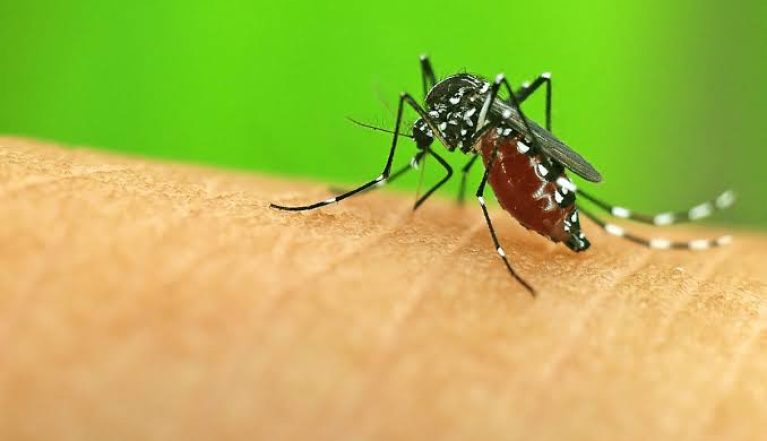 Malaria - Regency Healthcare