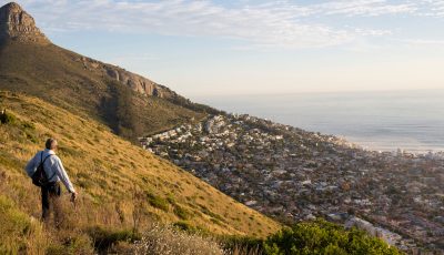 Tafelberg-Stapper