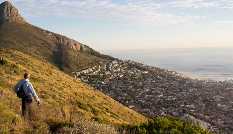 Tafelberg-Stapper