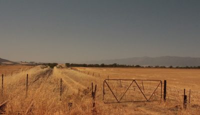 plaasaanvalle - Maroela Media